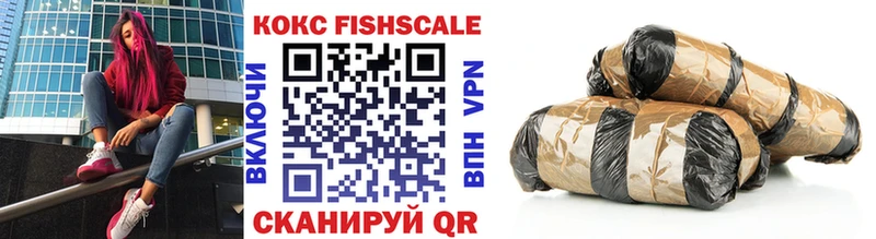 Купить закладки  Тара  КОКАИН FishScale 