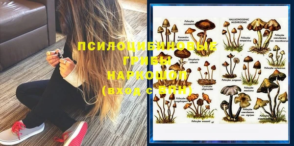гашик Алексеевка