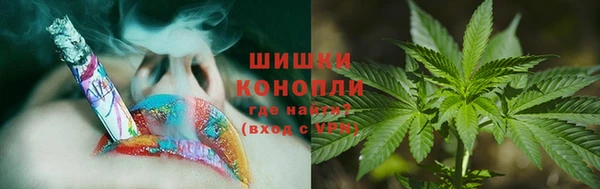 ПСИЛОЦИБИНОВЫЕ ГРИБЫ Алзамай