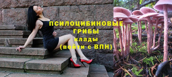 наркотики Алексин