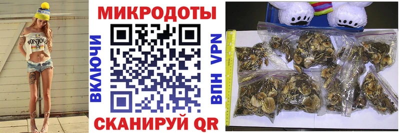 Купить где  Тара  Галлюциногенные грибы Cubensis 